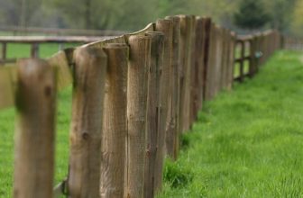 Holzzaun vs. Doppelstabmatten – die Vor- und Nachteile dieser Zaunkonzepte