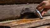 Effektive Schädlingsbekämpfung für Holz