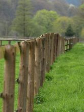 Holzzaun vs. Doppelstabmatten – die Vor- und Nachteile dieser Zaunkonzepte